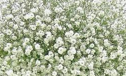 Cap 2019-06-22 00-08-46-313.jpg