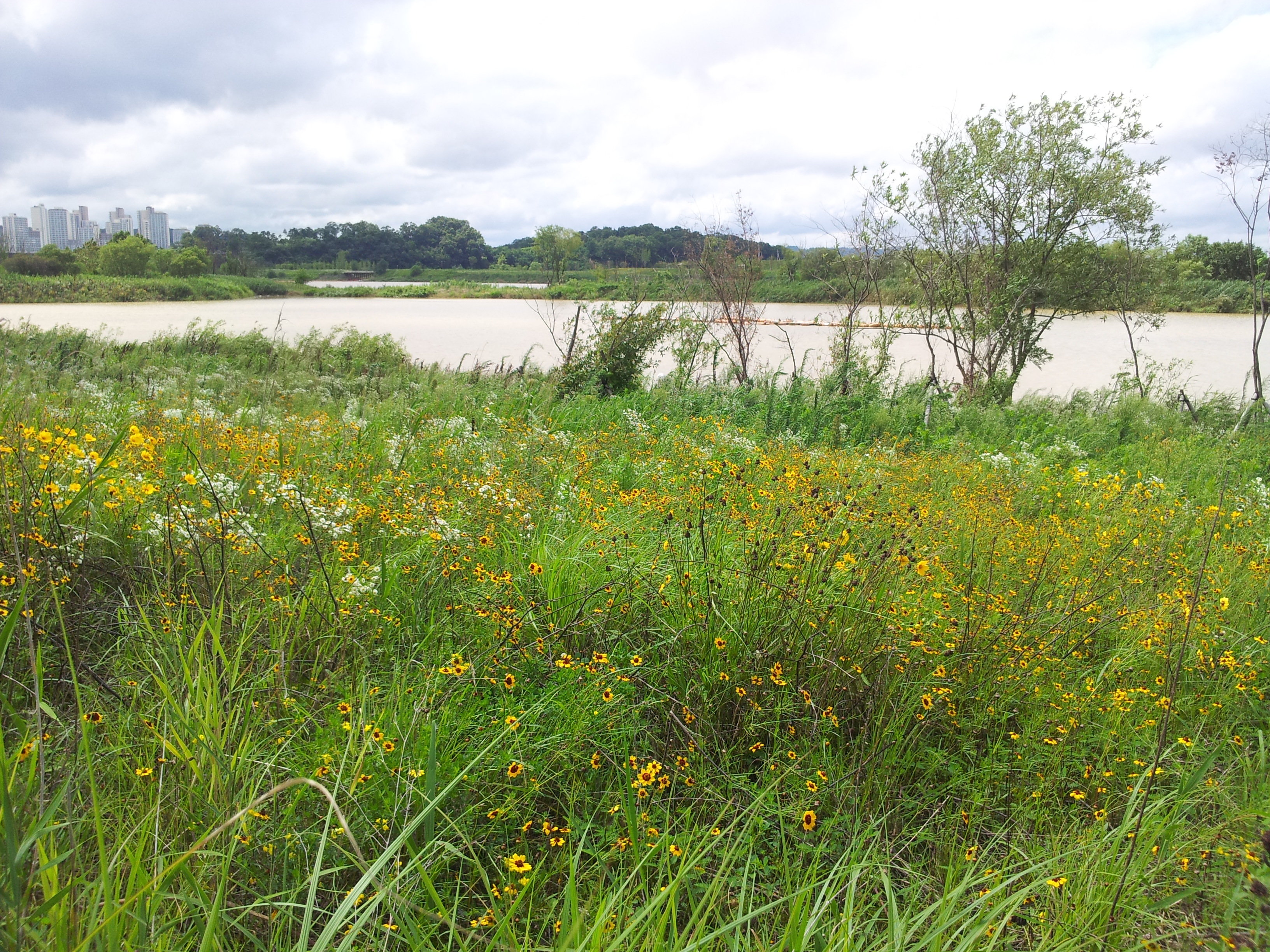20120719_142946.jpg