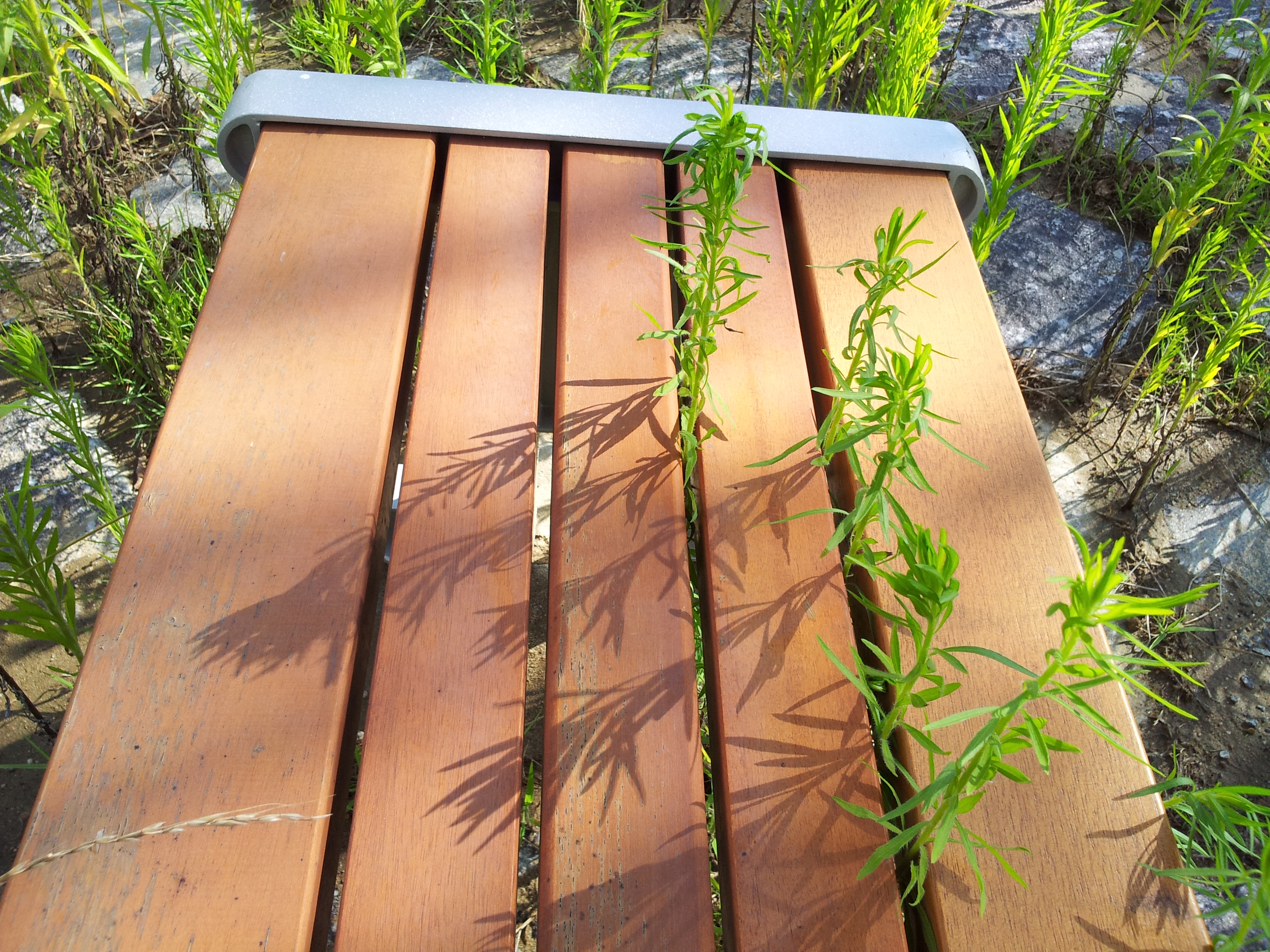 20120719_161740.jpg