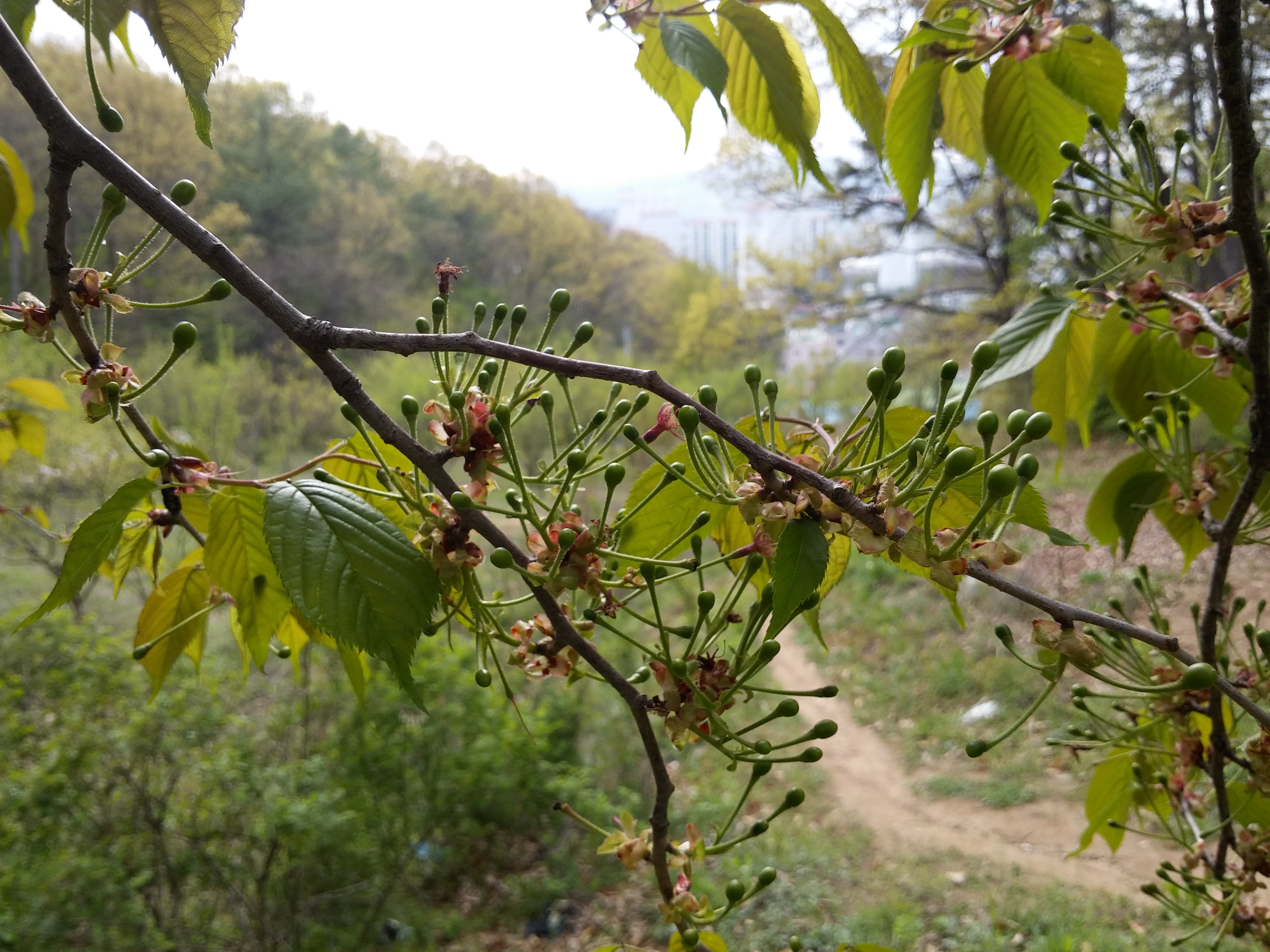 2016-04-18 17.29.09.jpg