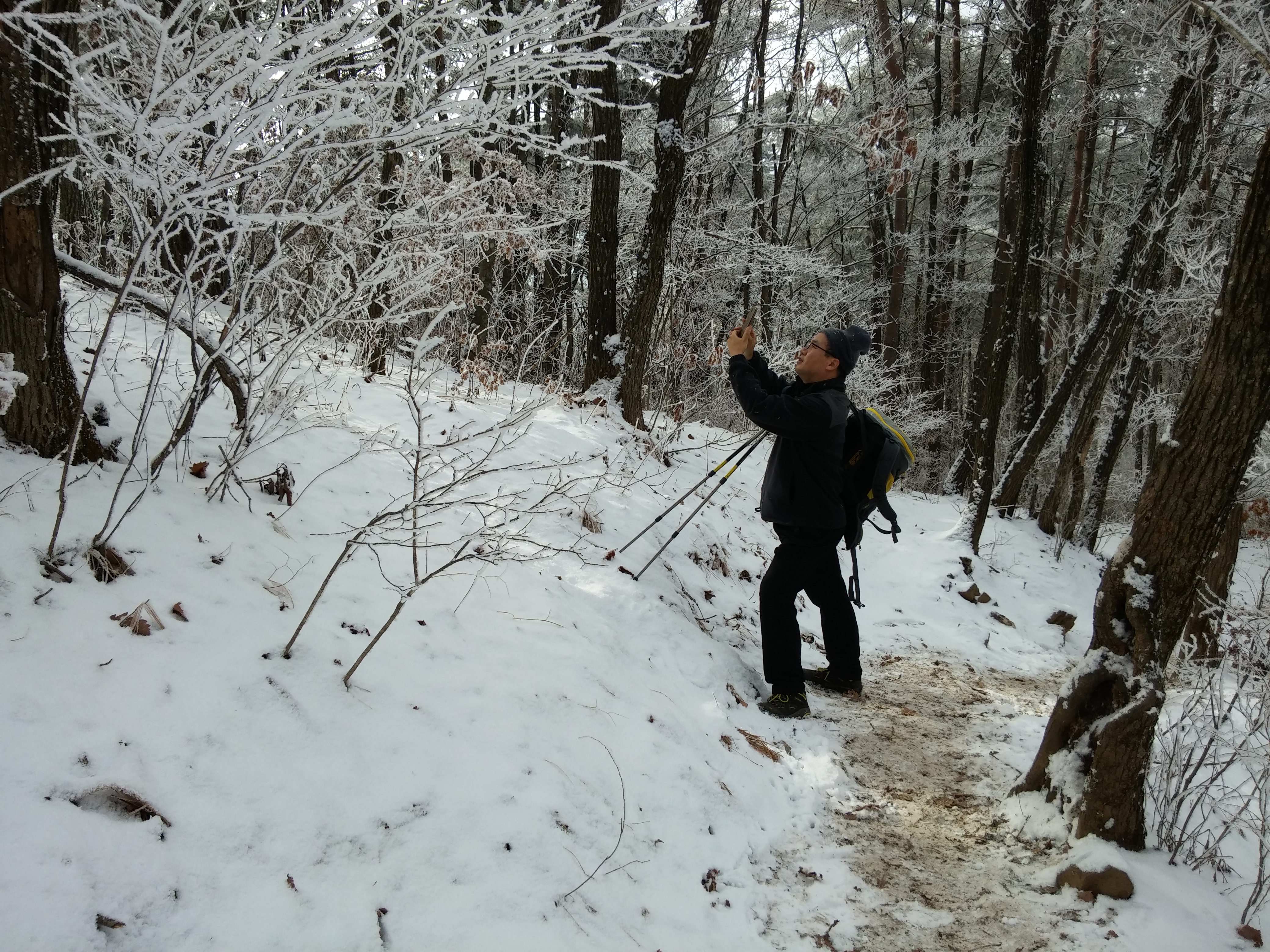 2016-01-01 12.12.19.jpg