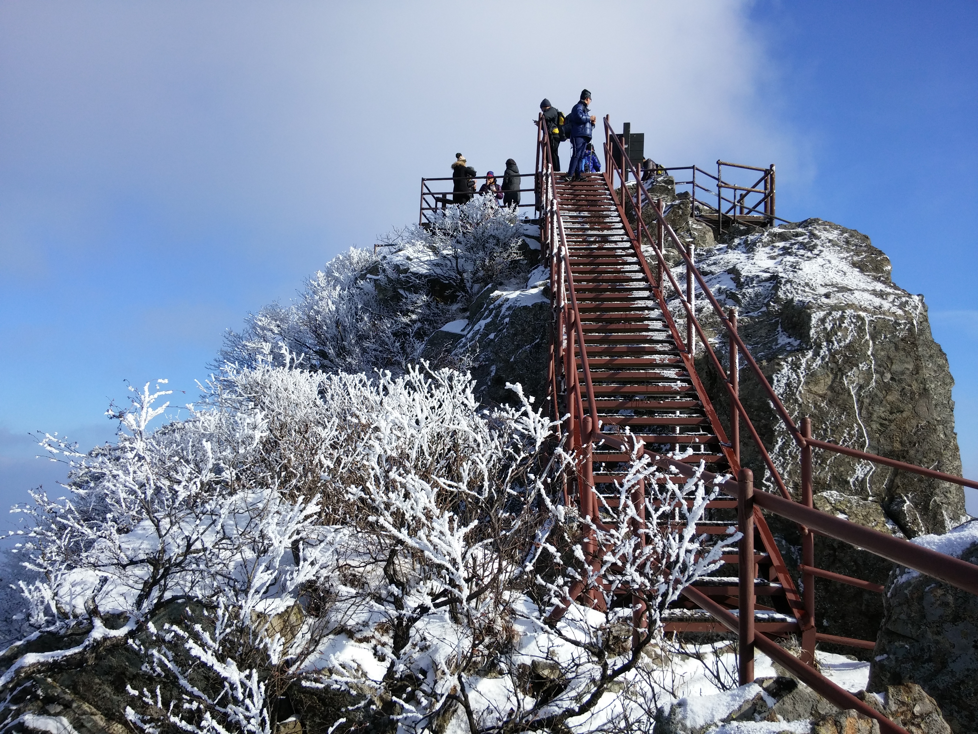 2016-01-01 13.53.38.jpg