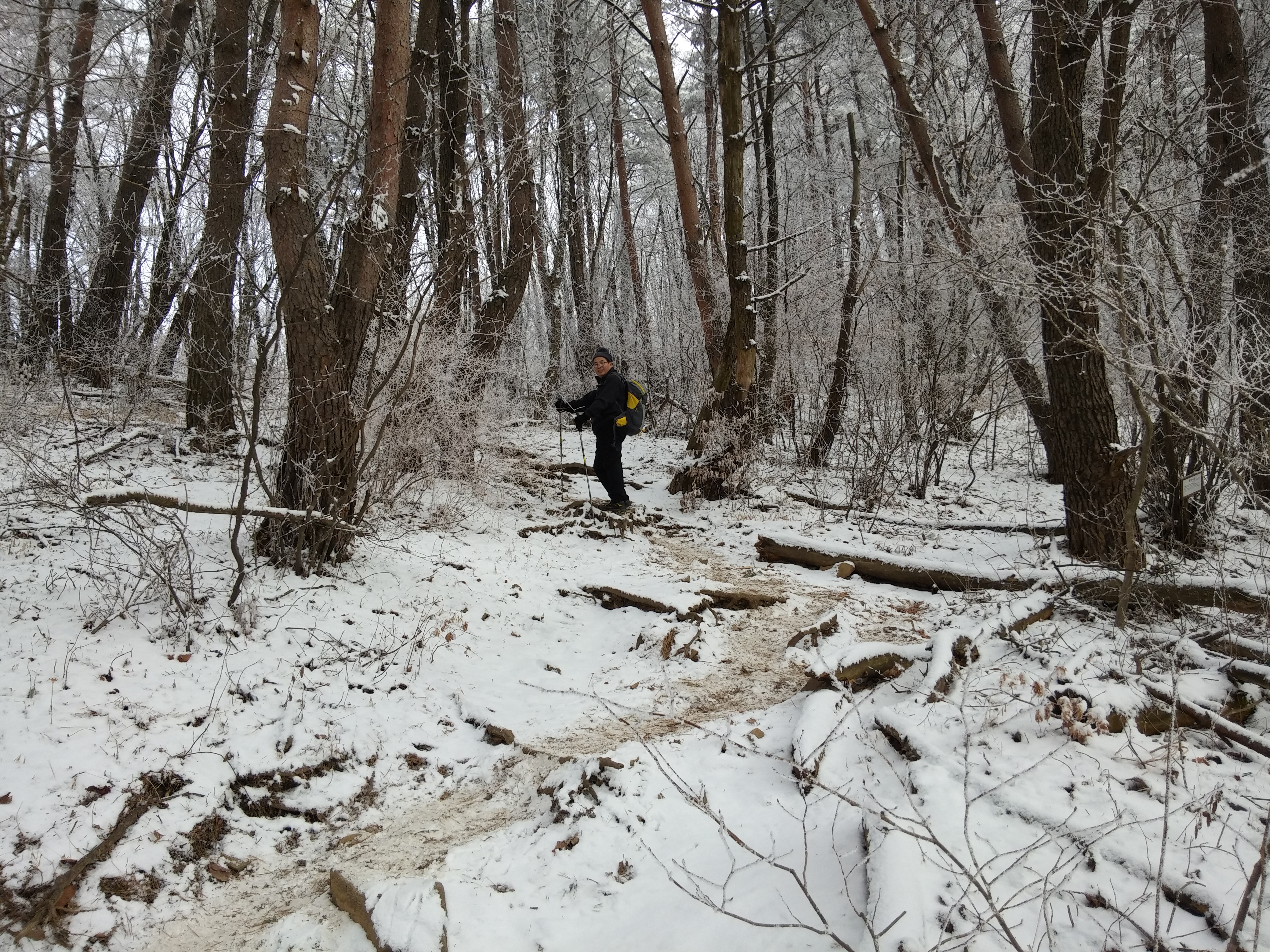 2016-01-01 12.02.27.jpg