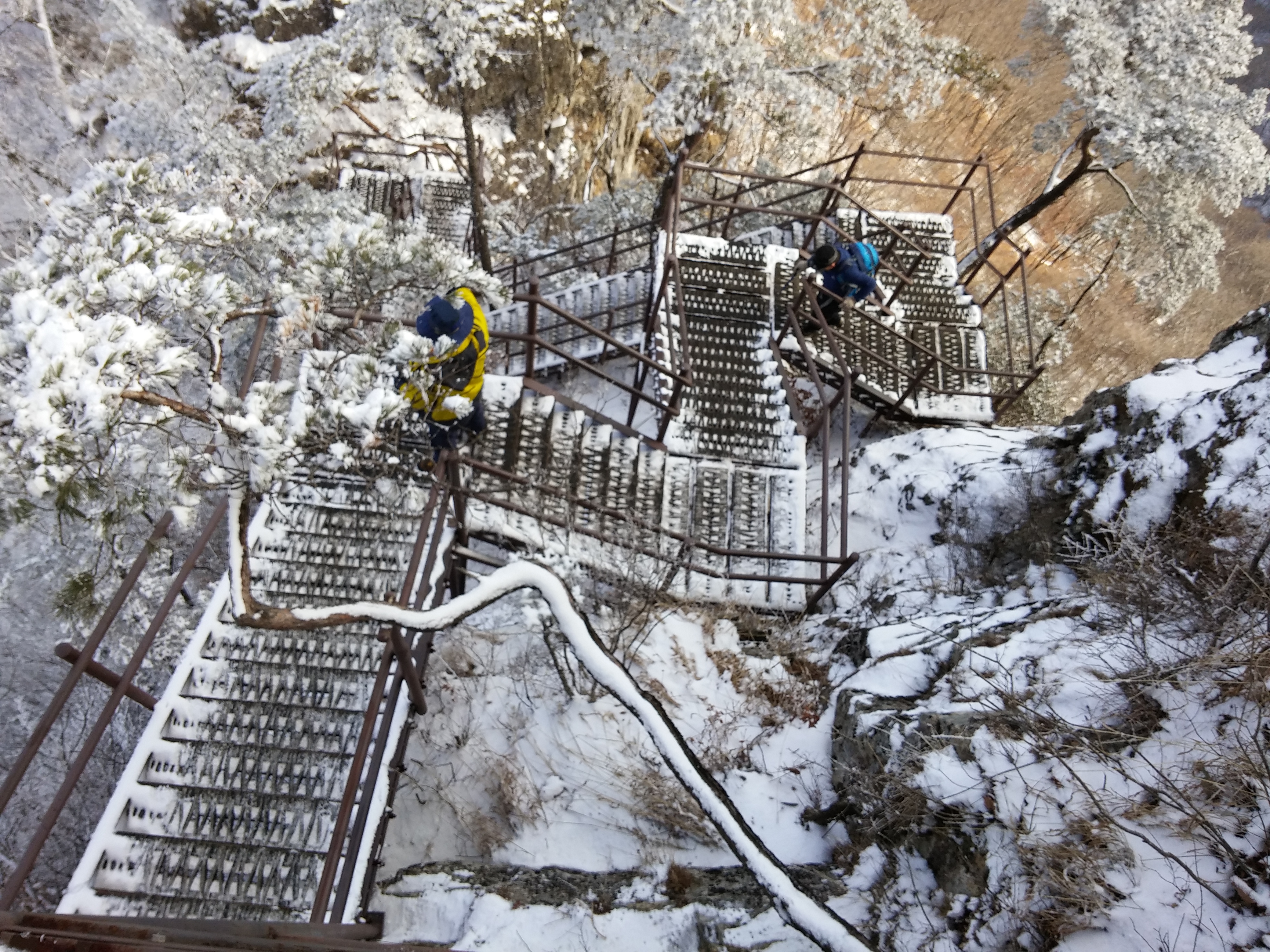 2016-01-01 13.41.45.jpg