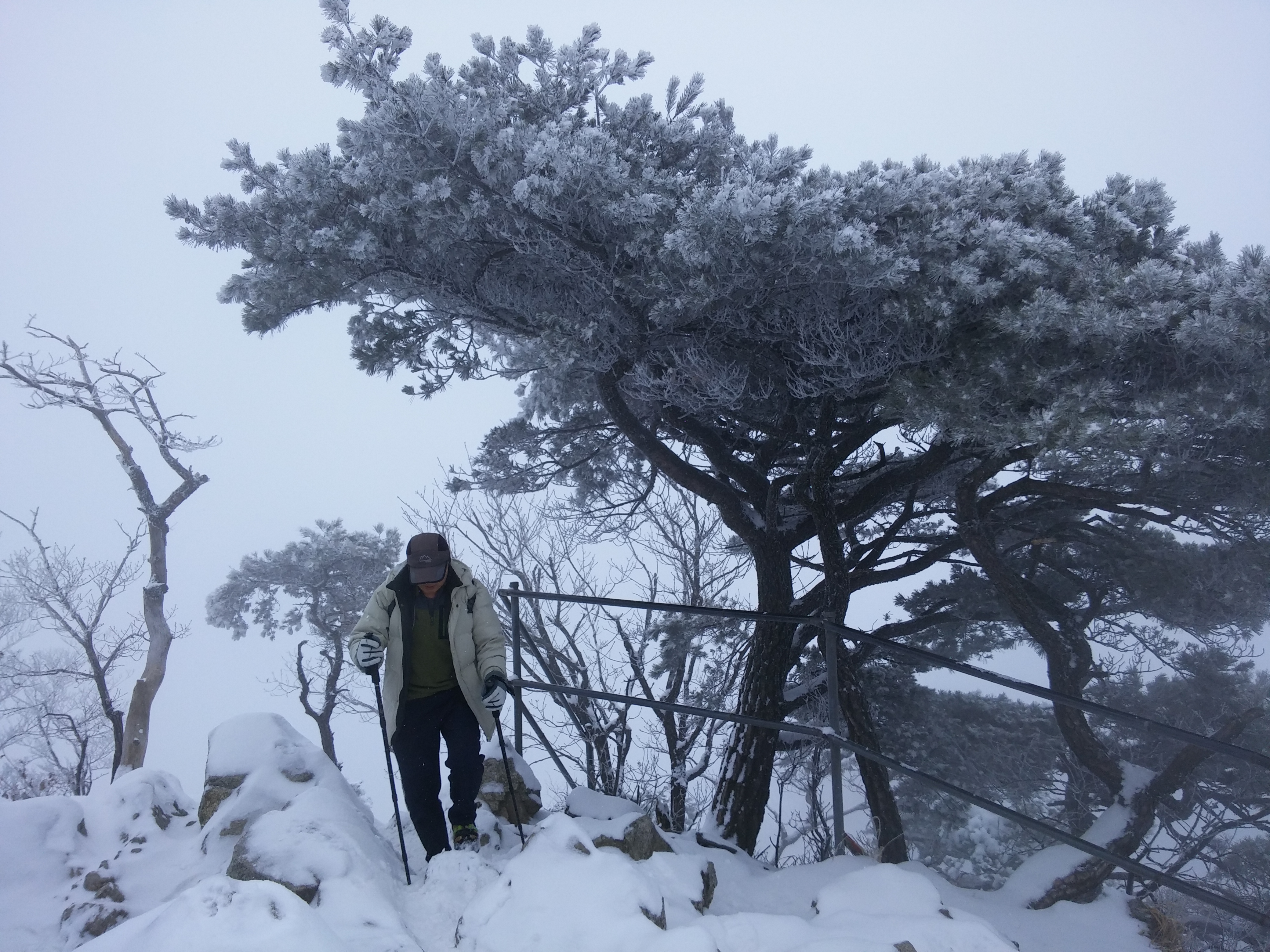 2016-01-26 11.41.36.jpg