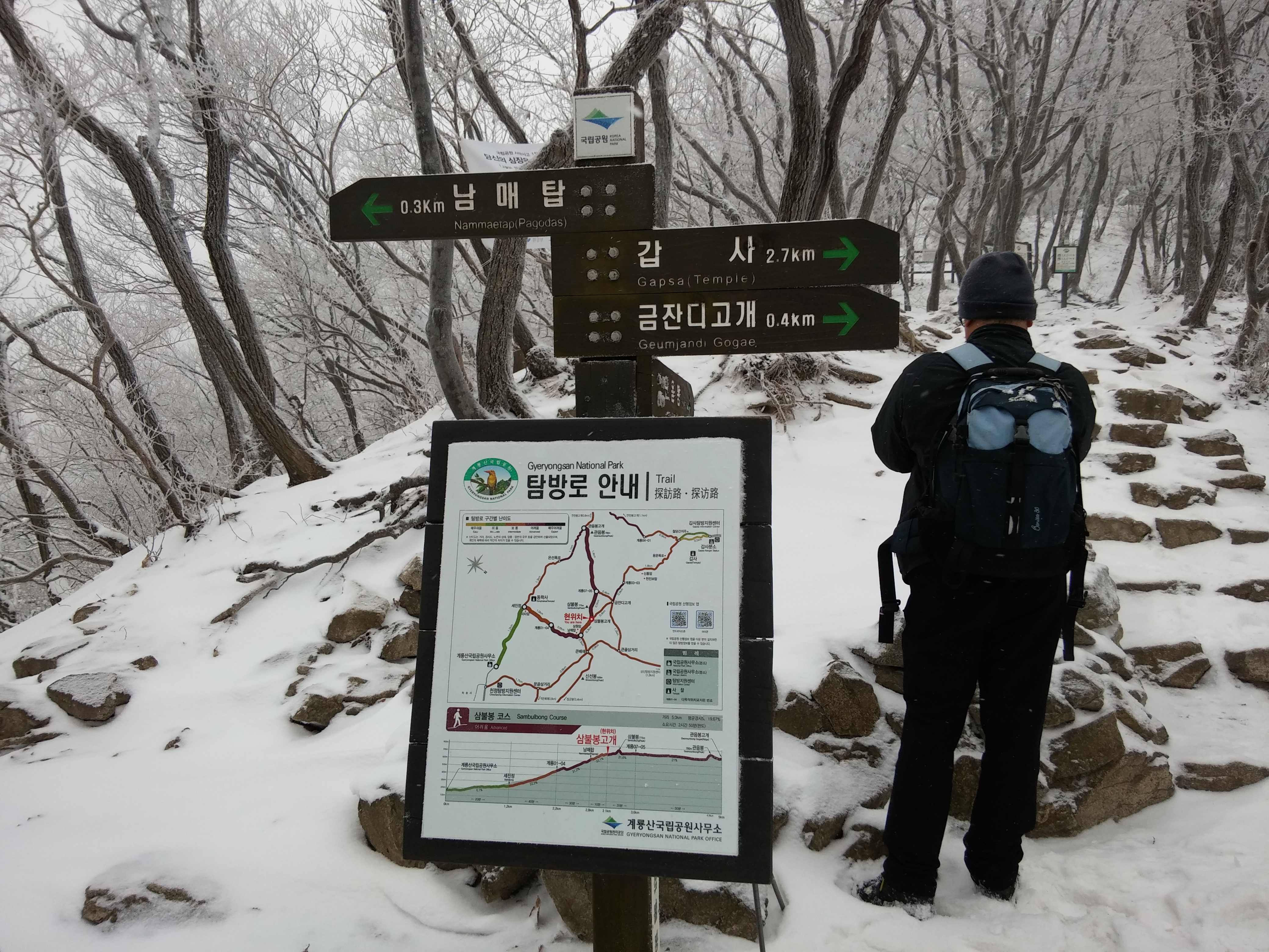 2016-01-26 11.32.19.jpg