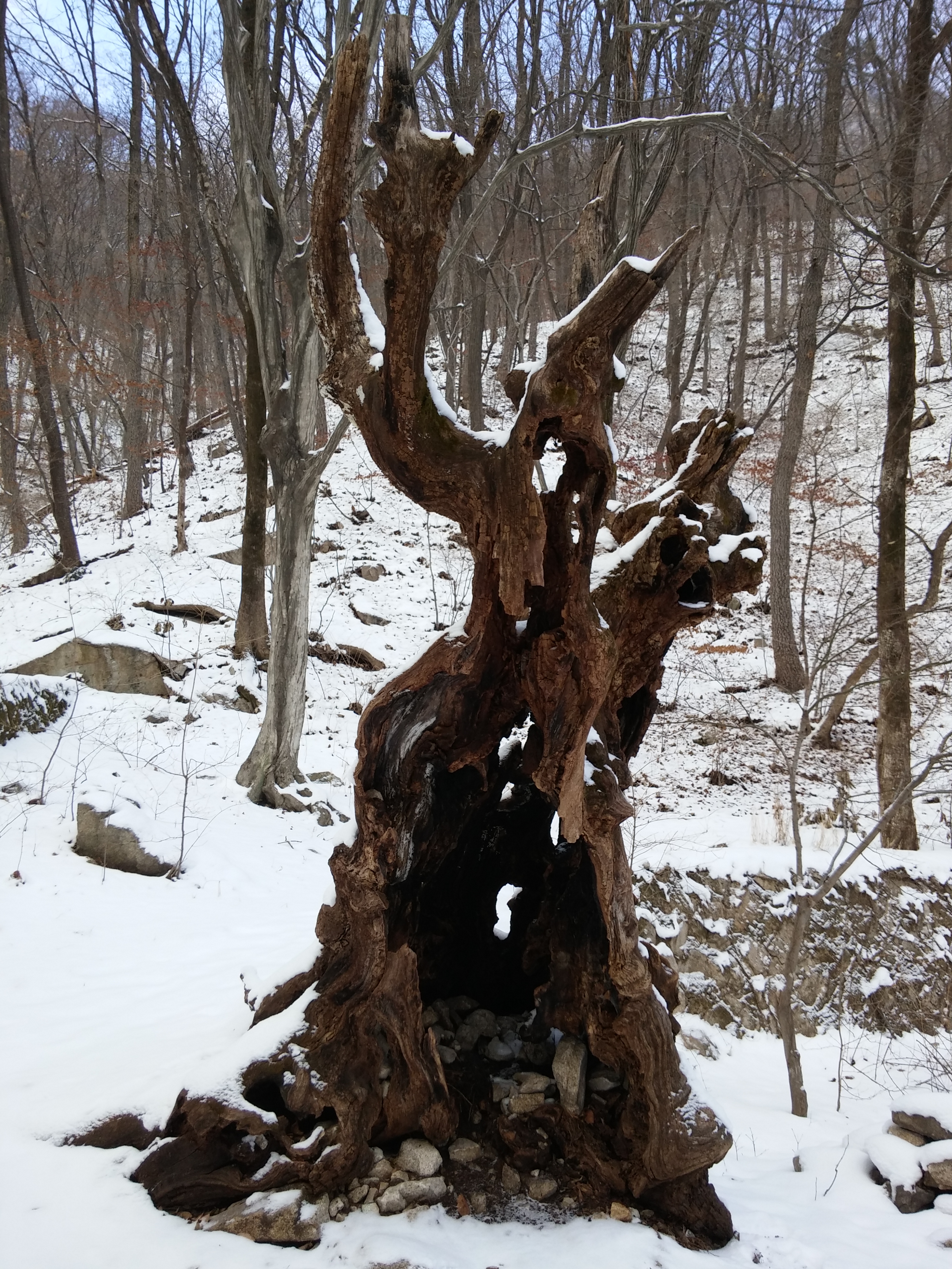 2016-01-26 13.58.49.jpg