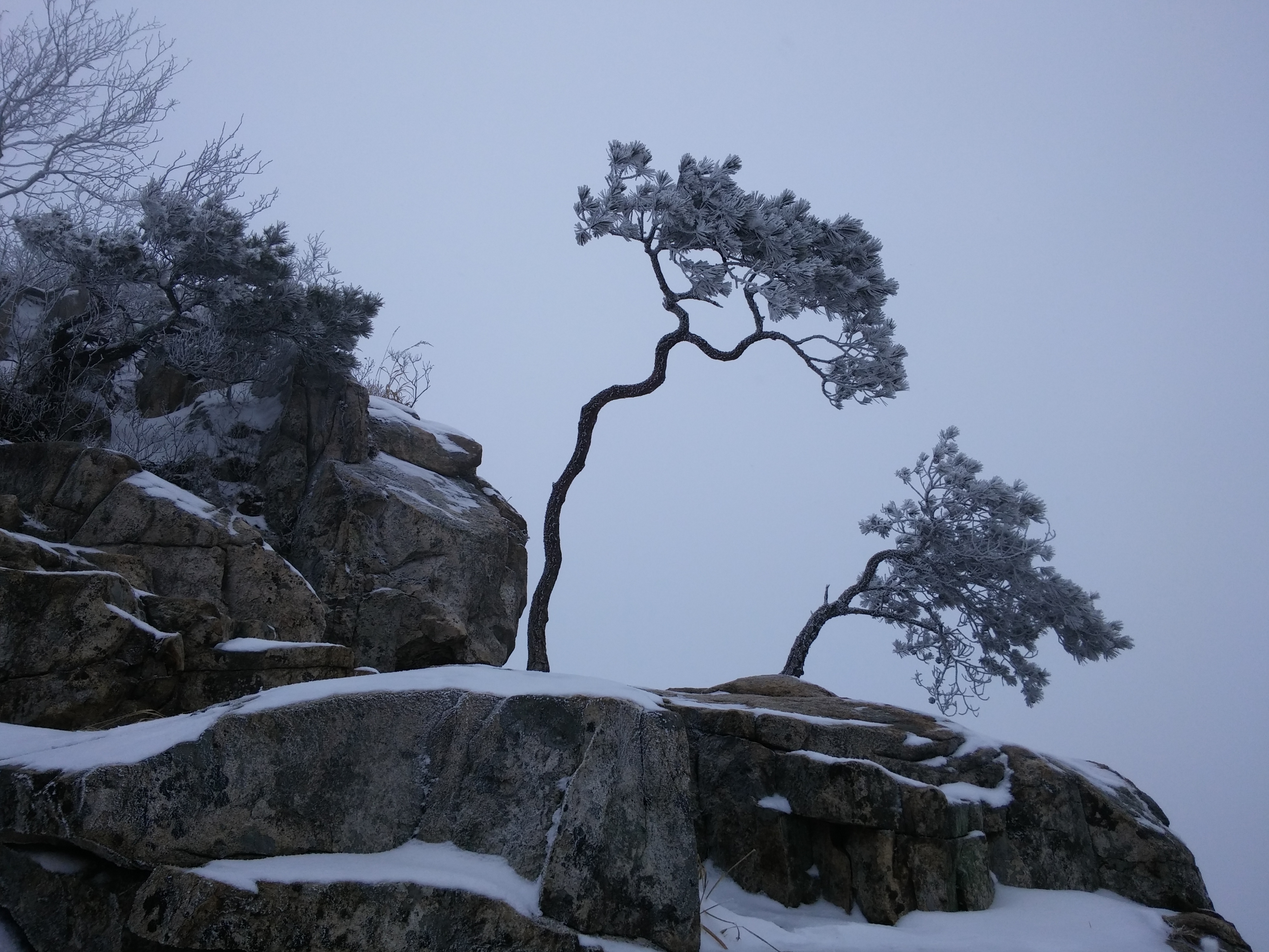 2016-01-26 12.57.48.jpg