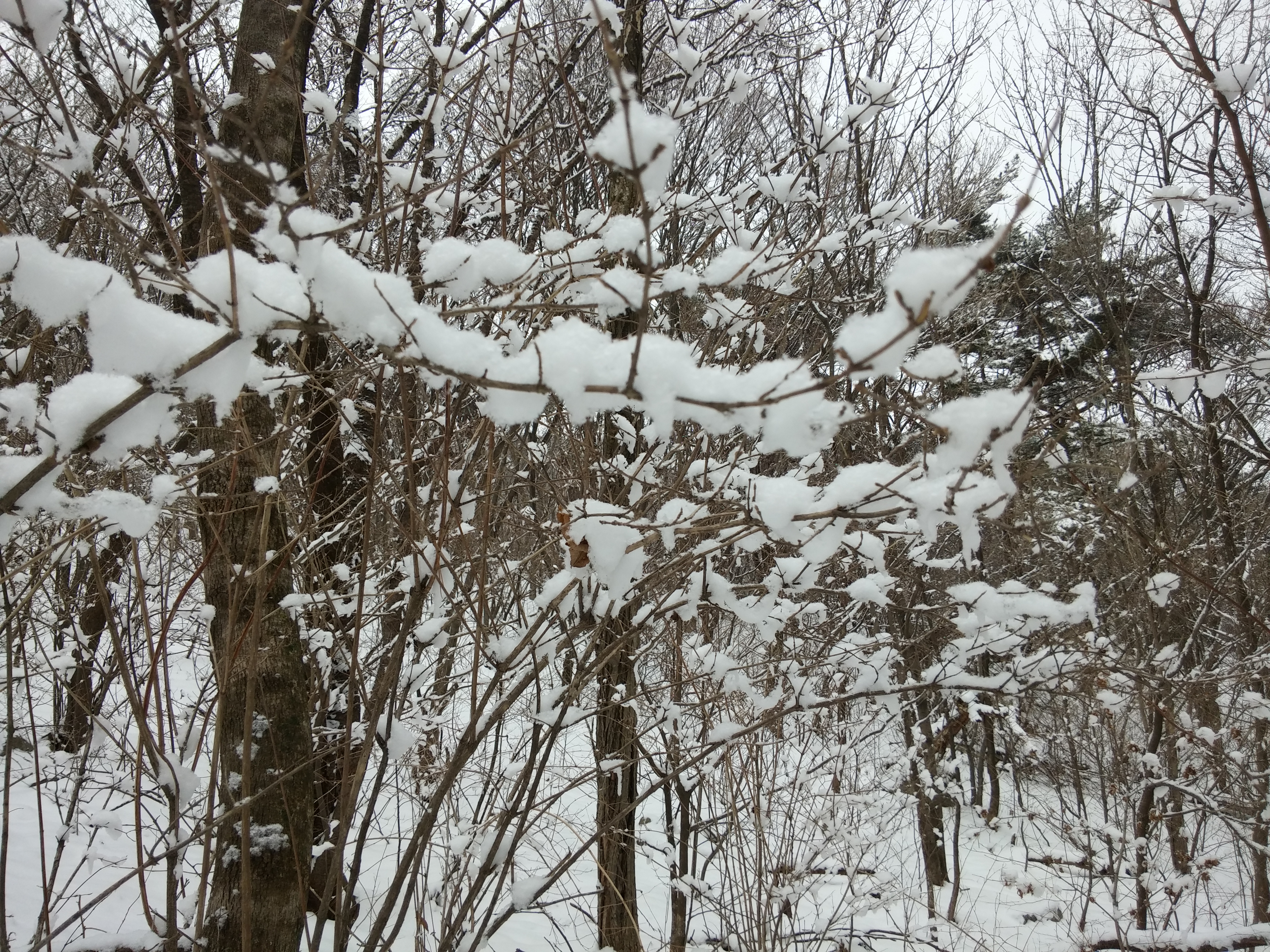 2016-01-26 11.12.50.jpg