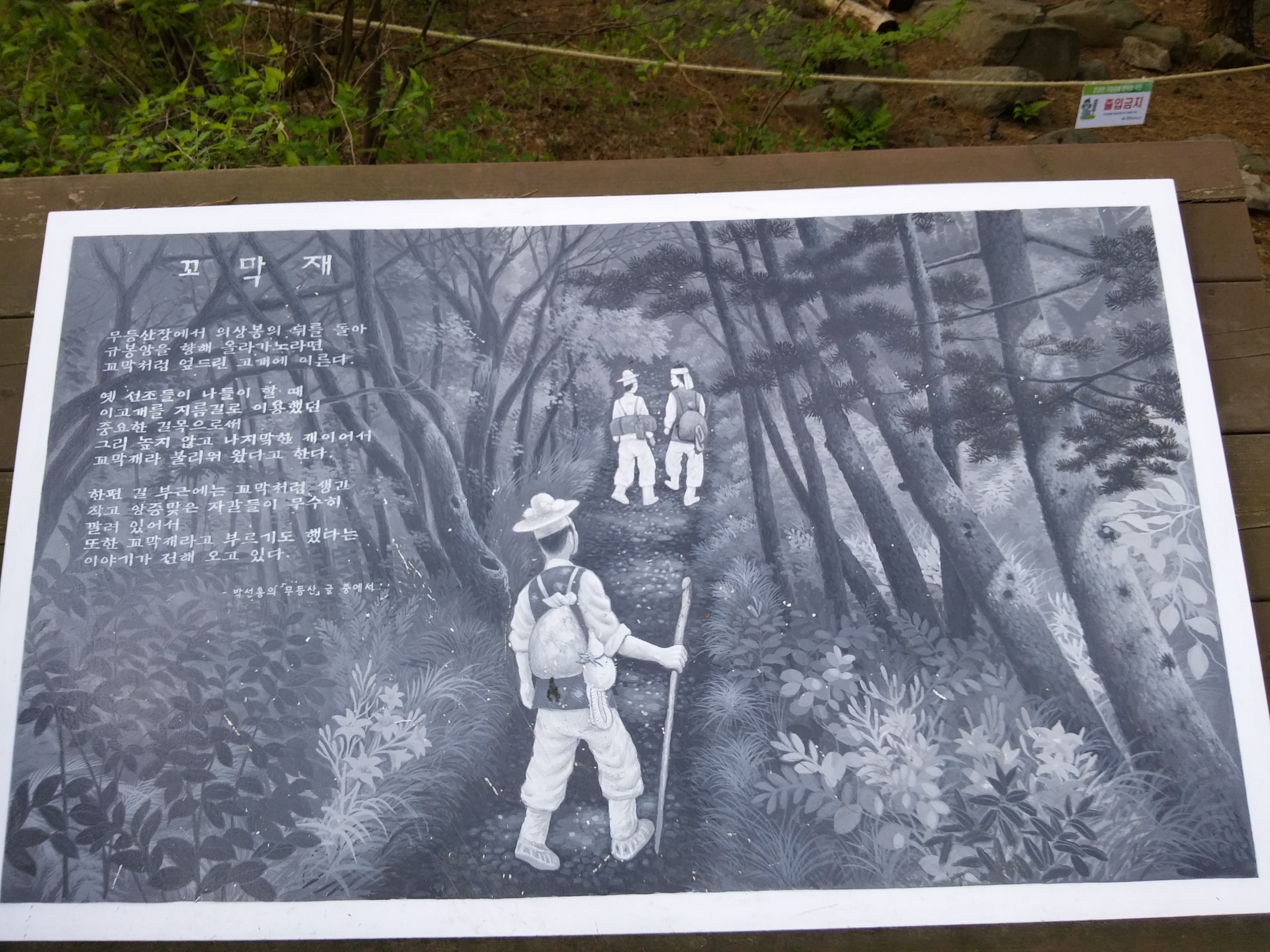 2016-04-30 07.05.54.jpg
