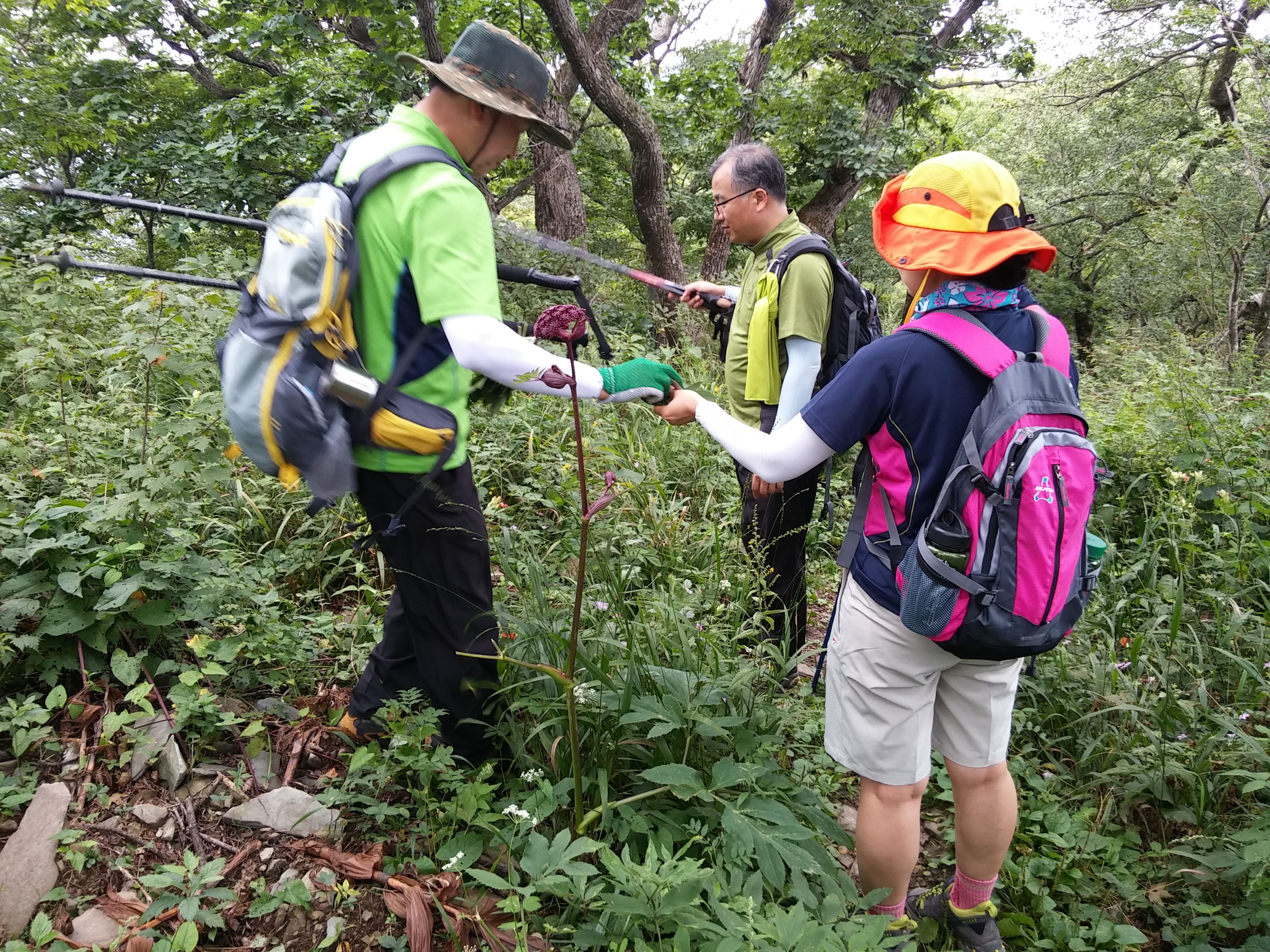 2015-08-10 10.15.06.jpg