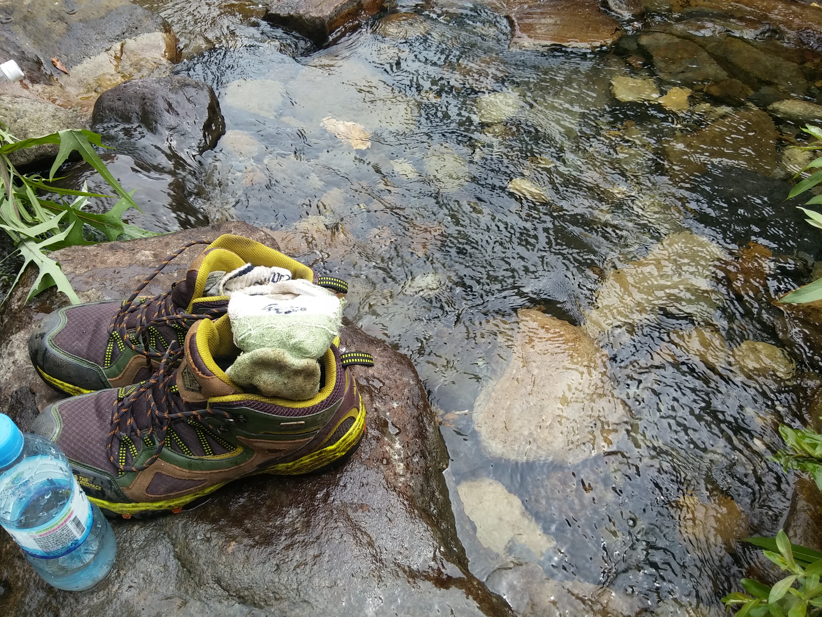 2015-08-10 15.23.23.jpg