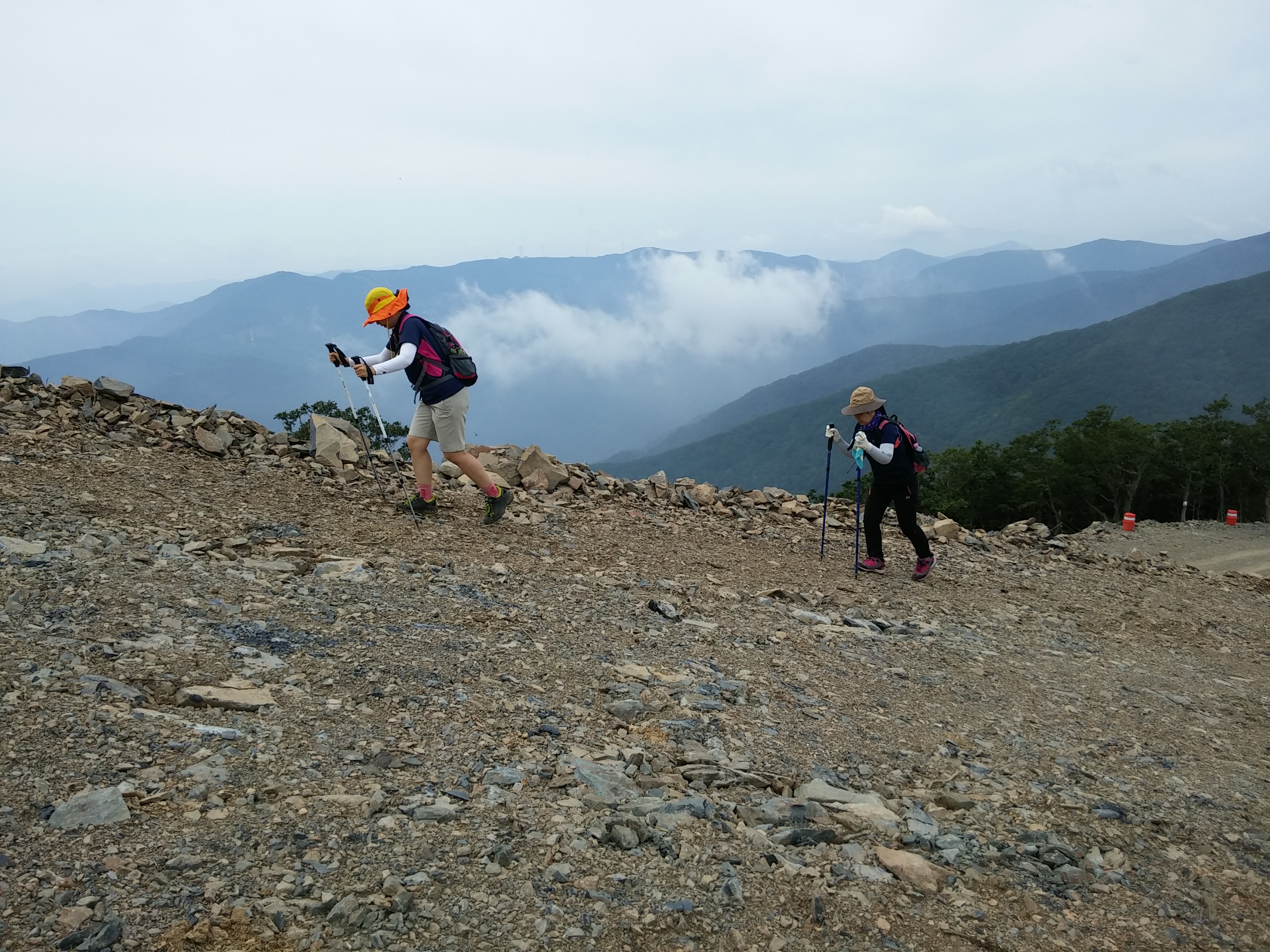 2015-08-10 11.41.56.jpg