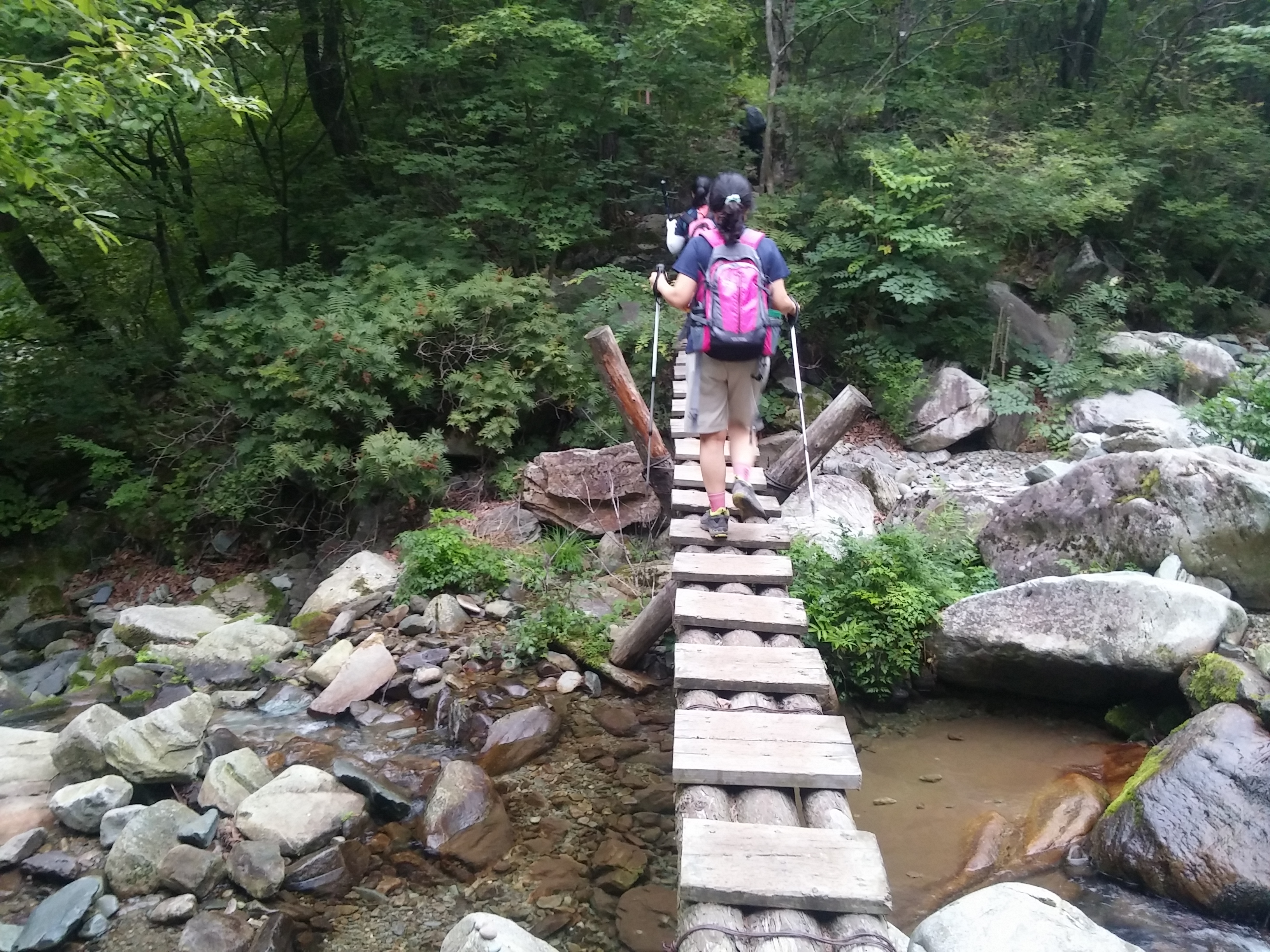 2015-08-10 06.08.46.jpg