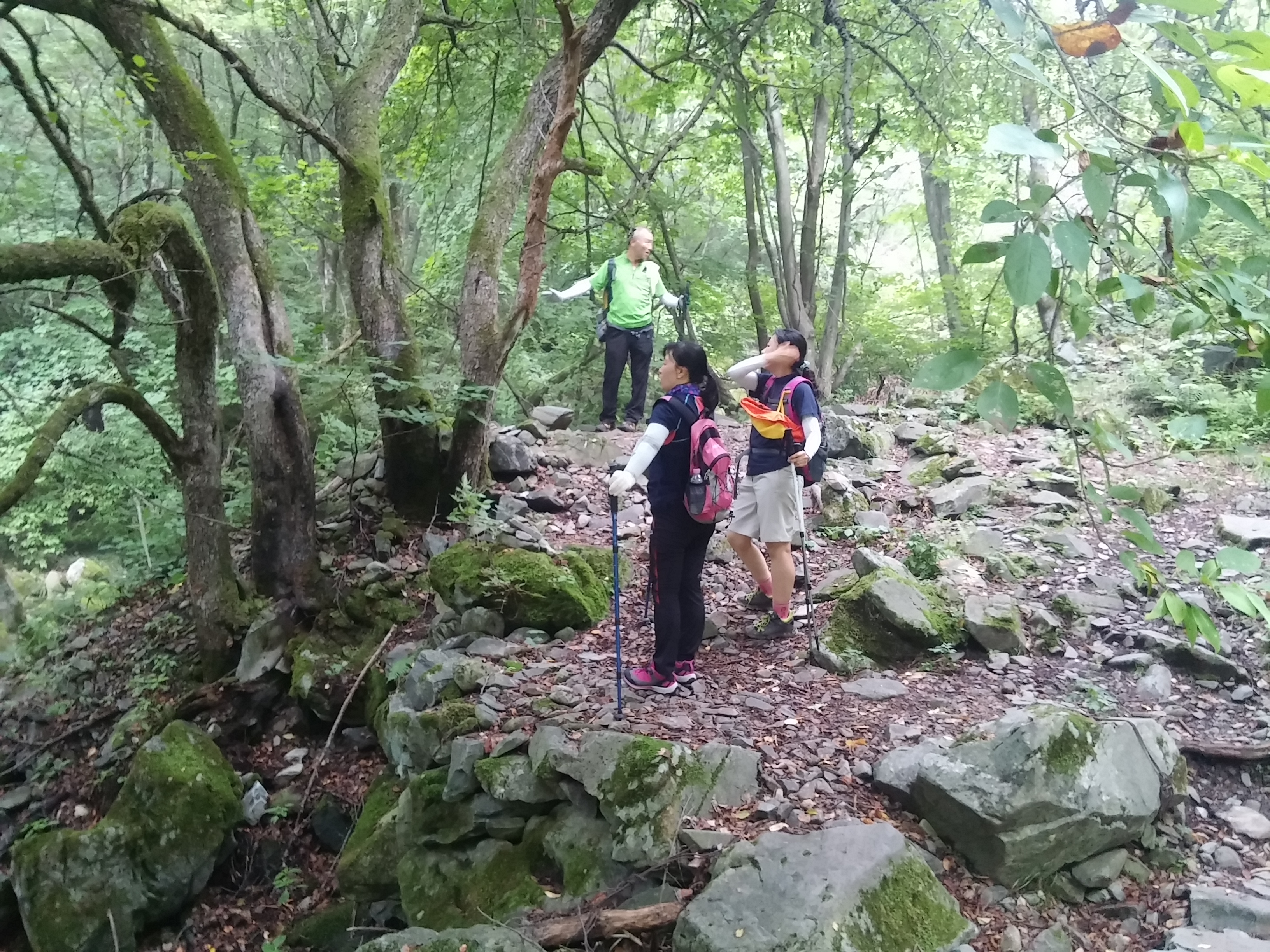 2015-08-10 06.50.12.jpg