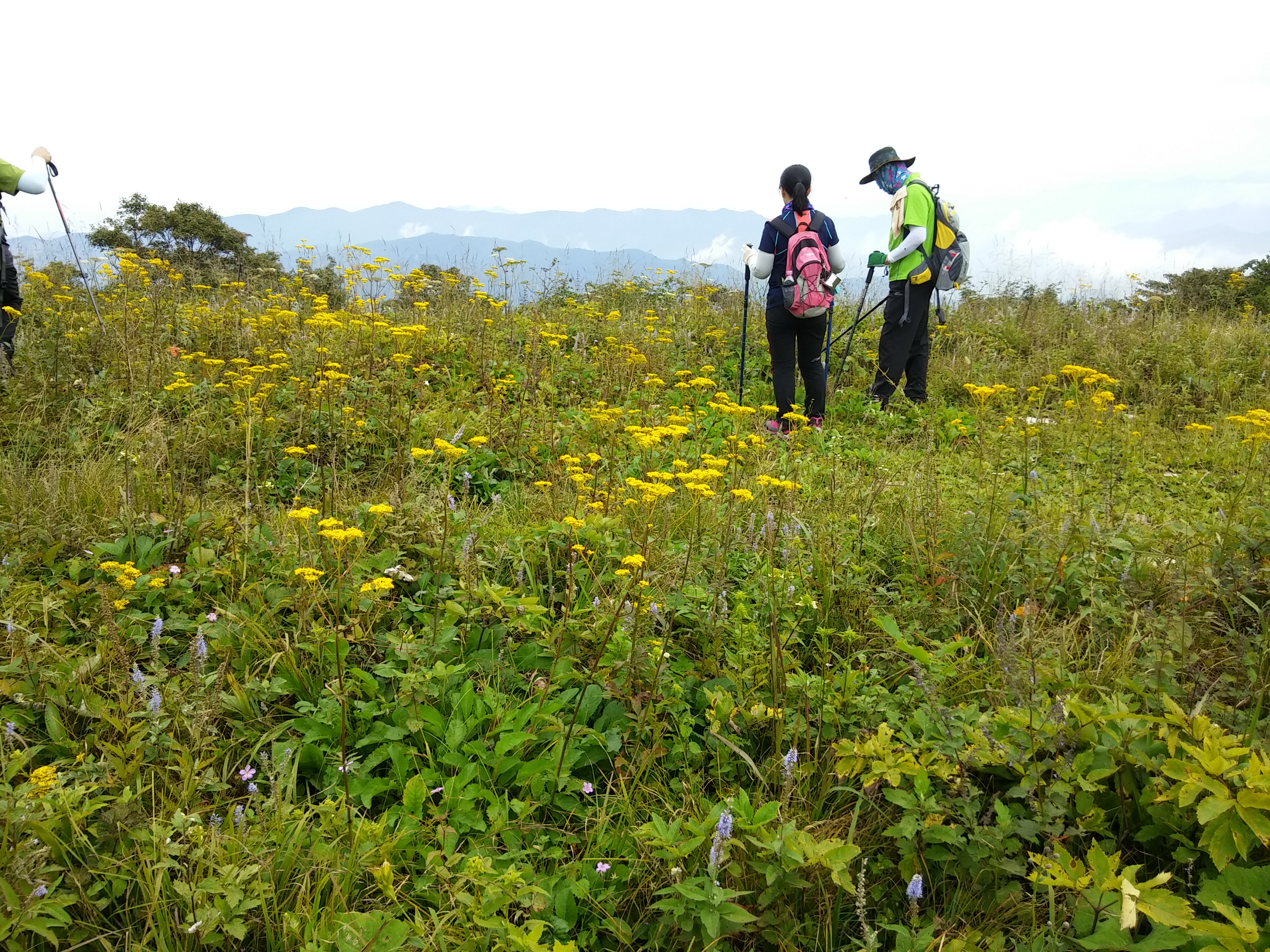 2015-08-10 11.01.21.jpg