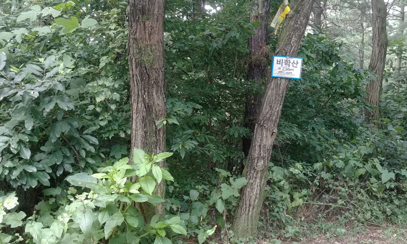 Cap 2018-07-19 14-03-01-888.jpg