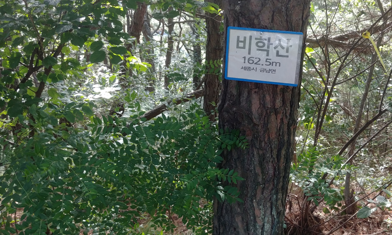 Cap 2018-07-19 14-03-40-966.jpg