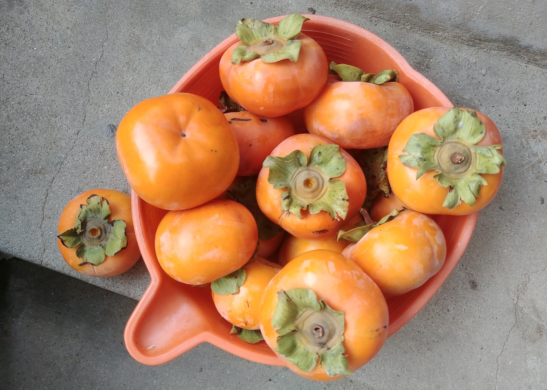 persimmon-3753263_1920.jpg