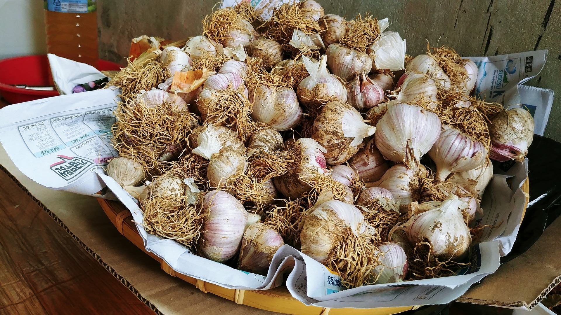 garlic-3573800_1920.jpg