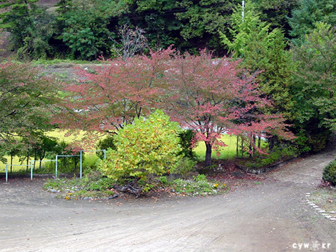 hb1490.jpg