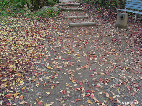 hb1504.jpg