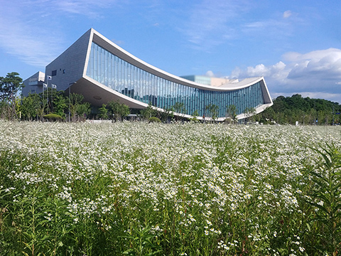hb7264.jpg