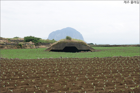 hb3887.jpg