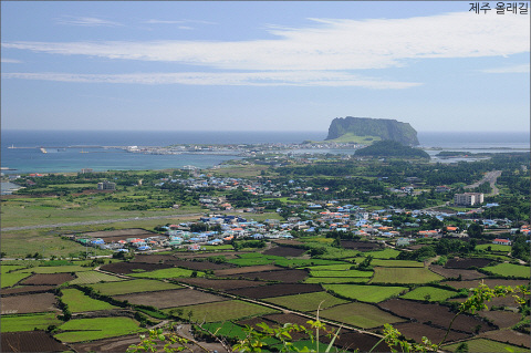 hb3888.jpg