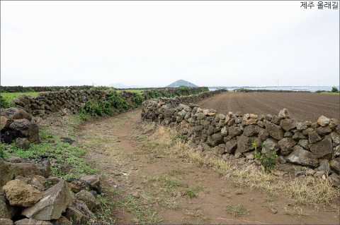 hb3894.jpg