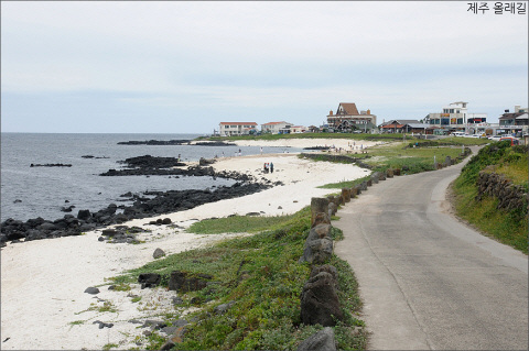hb3896.jpg