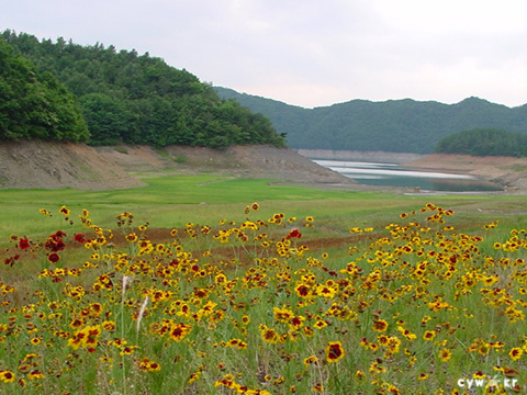 hb1806.jpg
