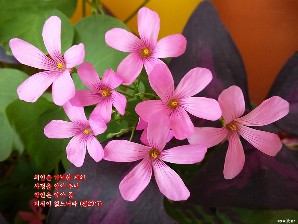 20150917.jpg