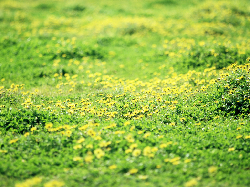 201107041.jpg