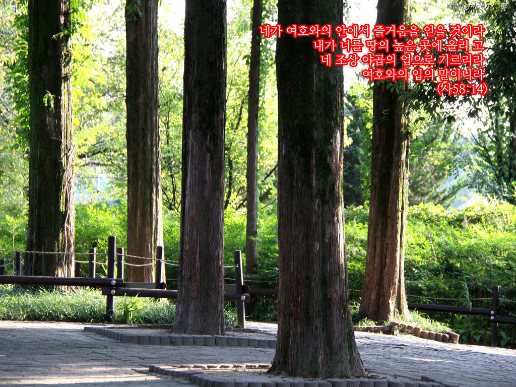 20110905.jpg