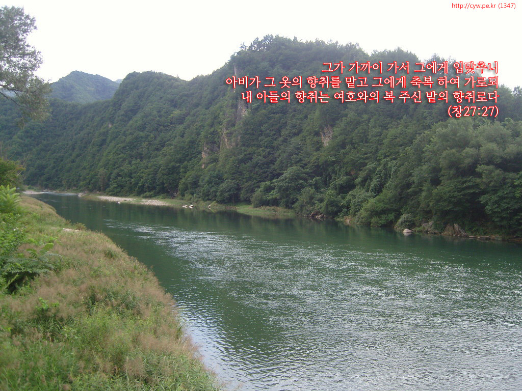 20110909.jpg