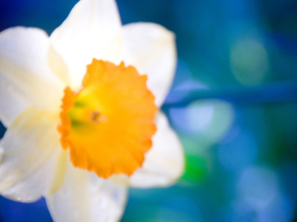 201104261.jpg