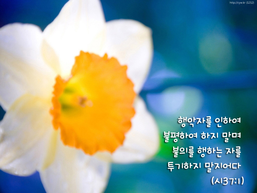 20110426.jpg
