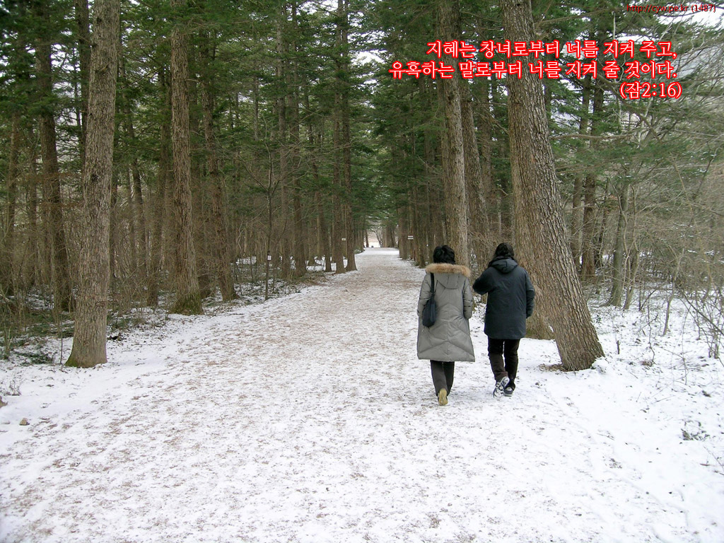 20120126.jpg