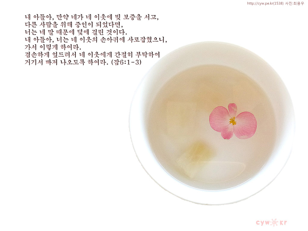 20120317.jpg