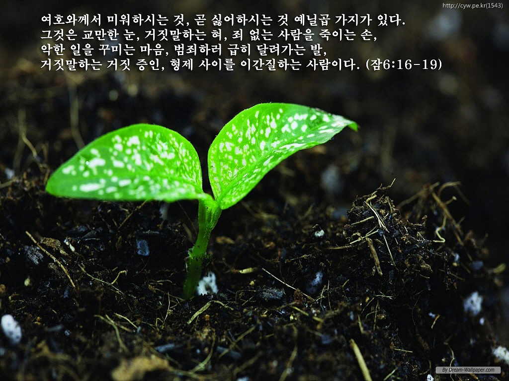 20120322.jpg