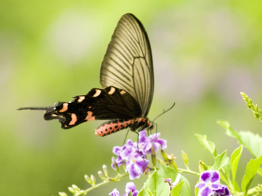 201203281.jpg