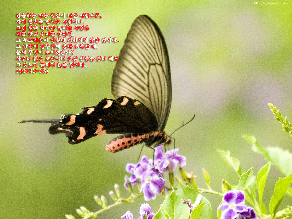 20120328.jpg