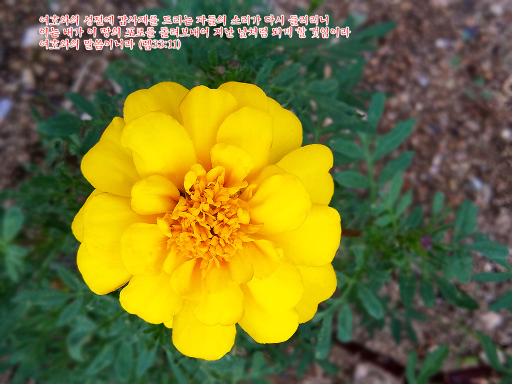 20150818.jpg