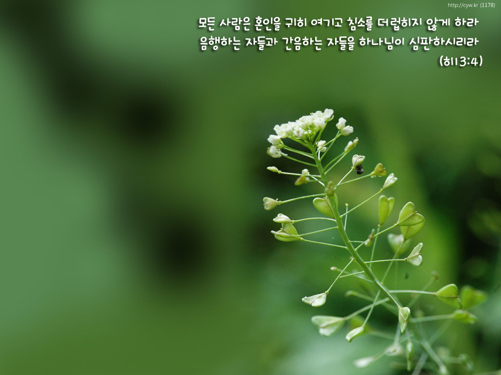 20110323.jpg