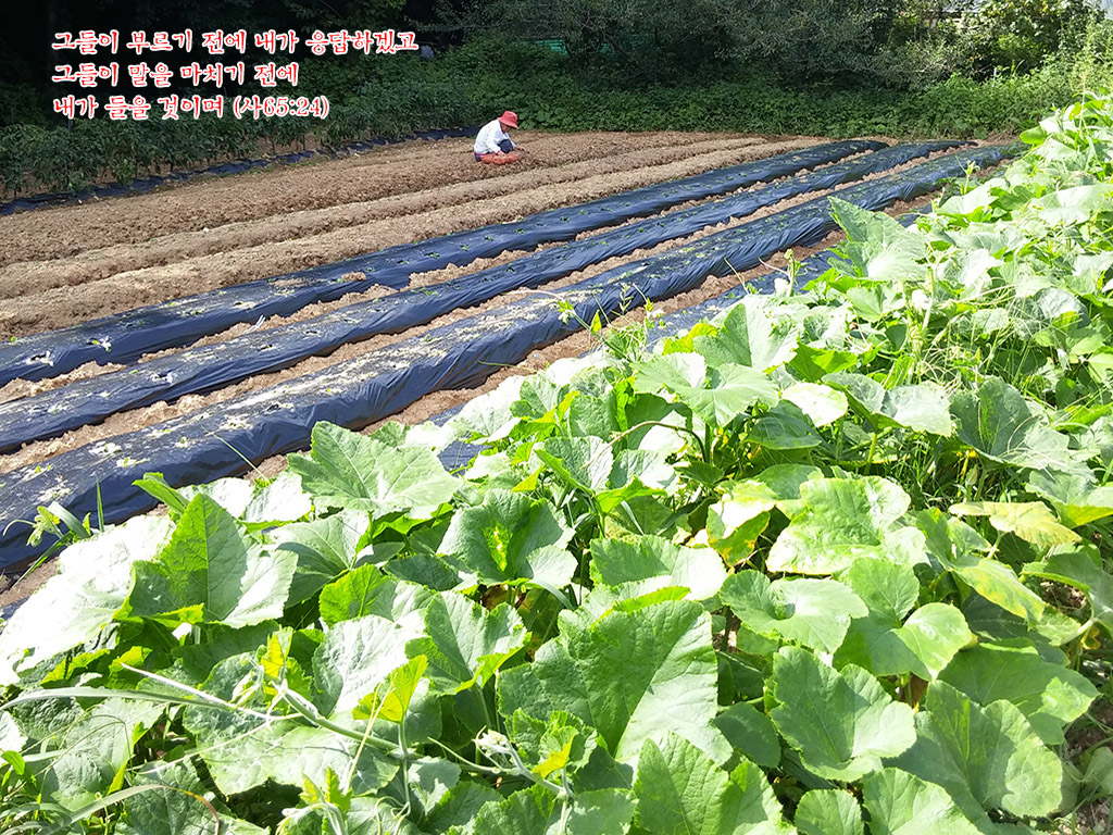 20150828.jpg