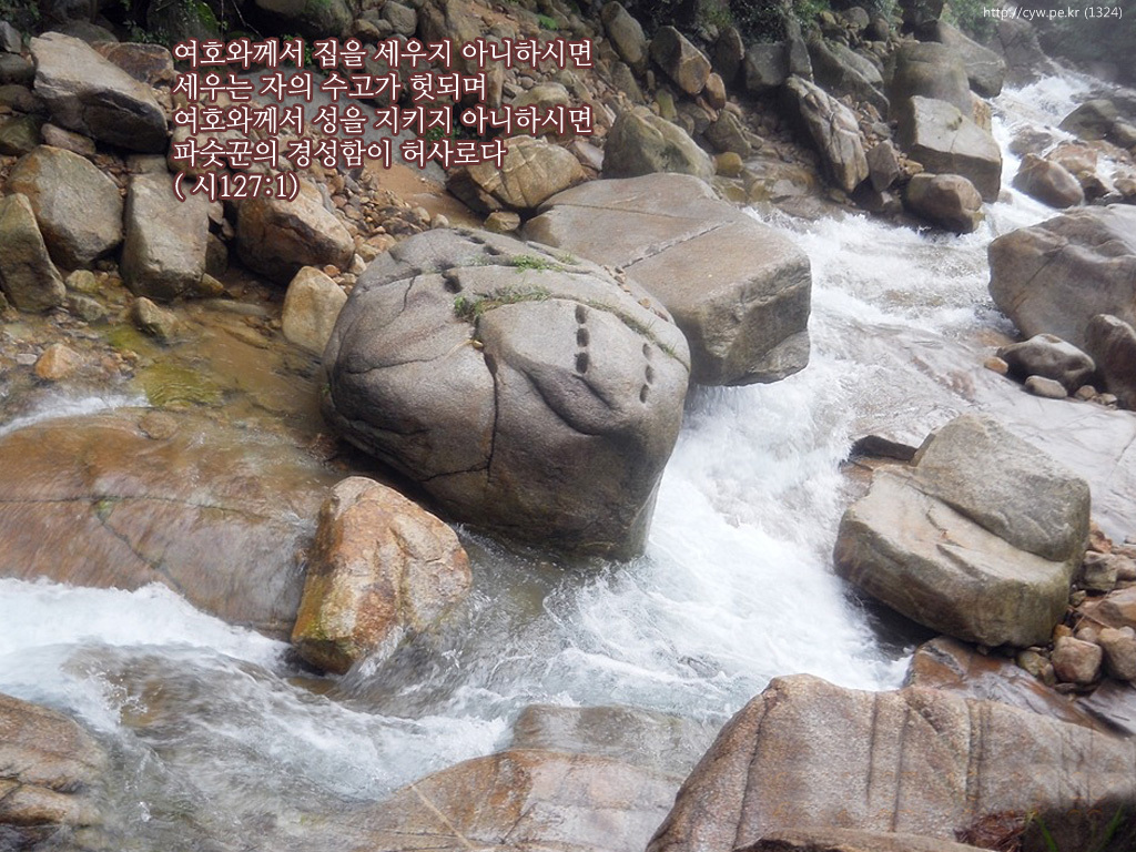 20110816.jpg