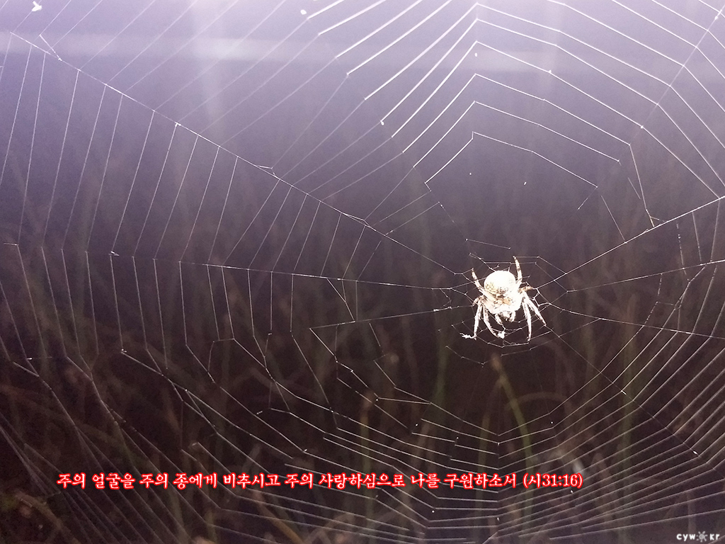 20150905.jpg