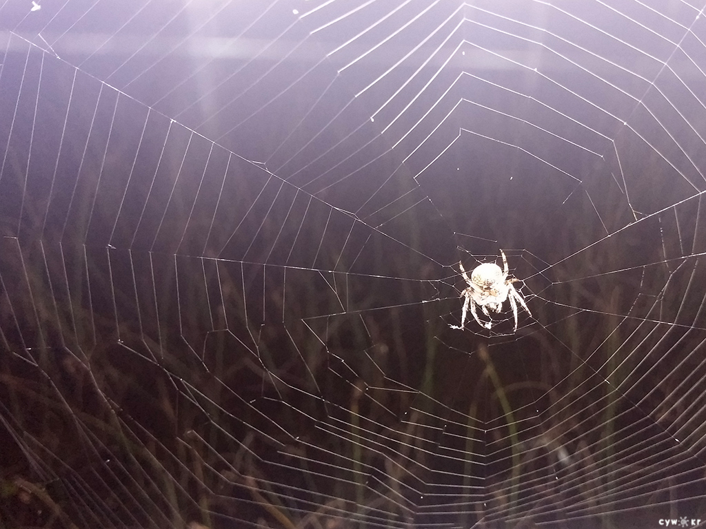 201509051.jpg