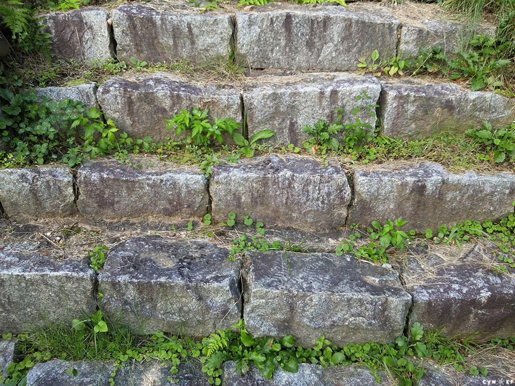 201509091.jpg